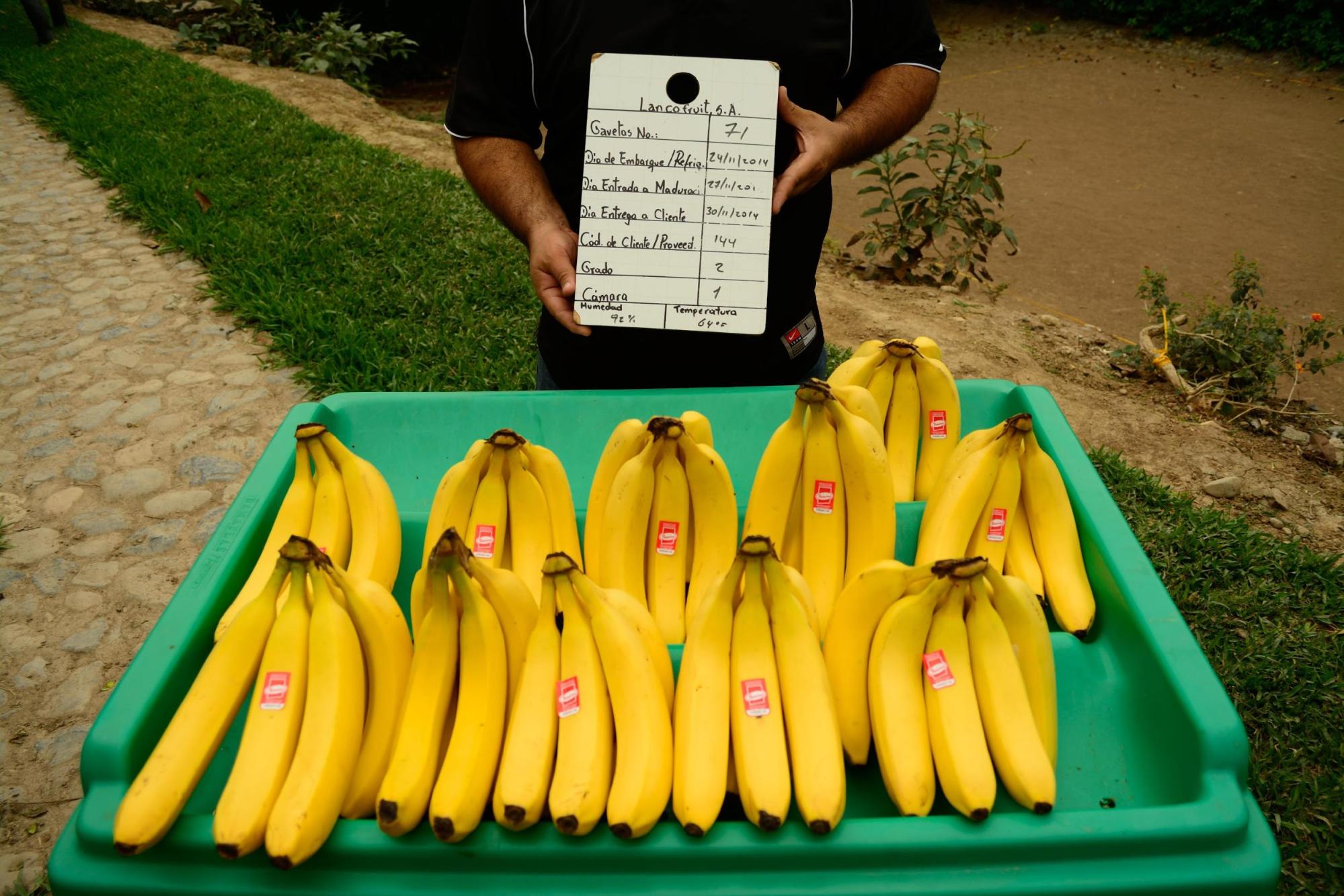 Productos 1