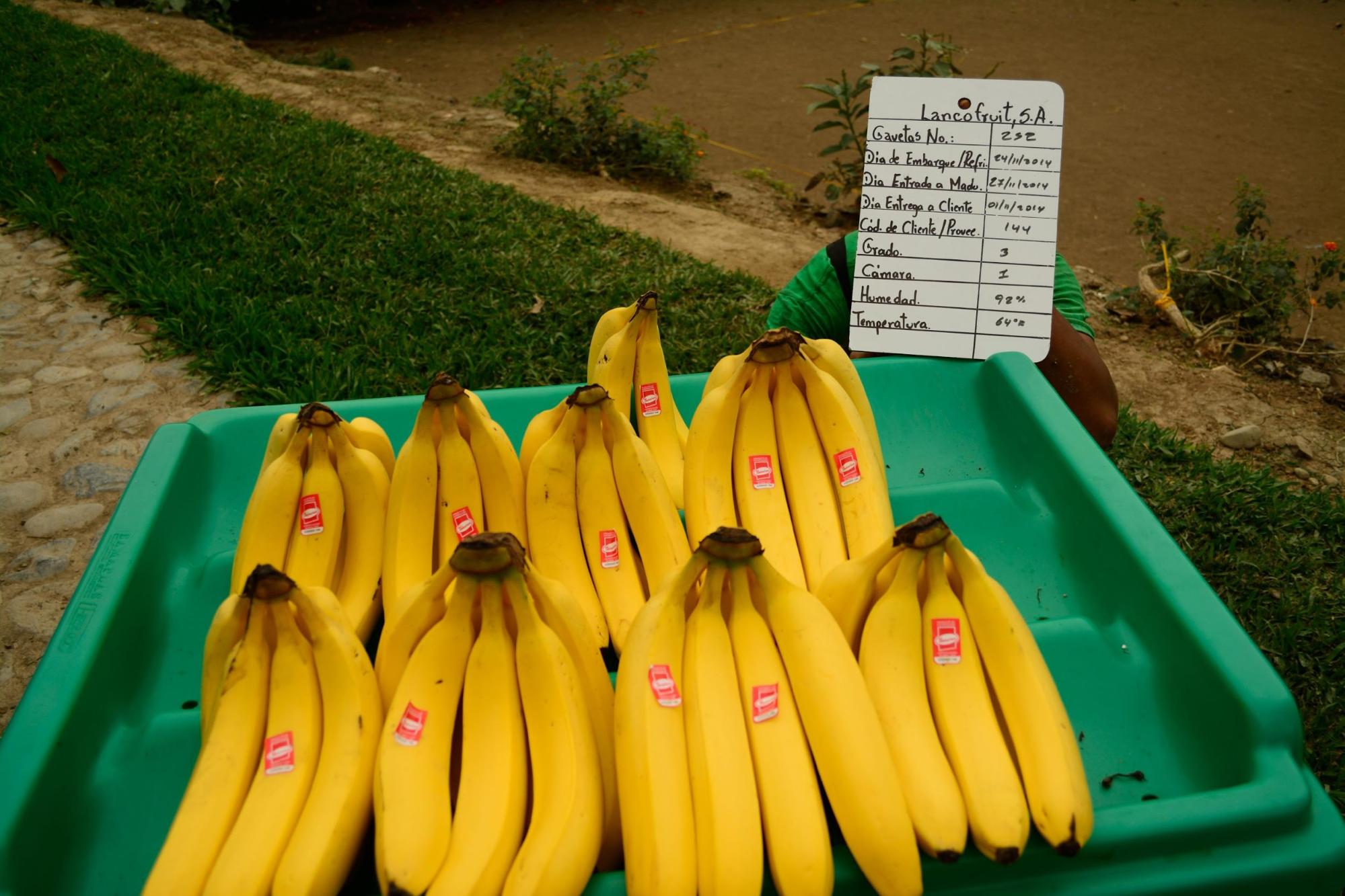 Productos 2